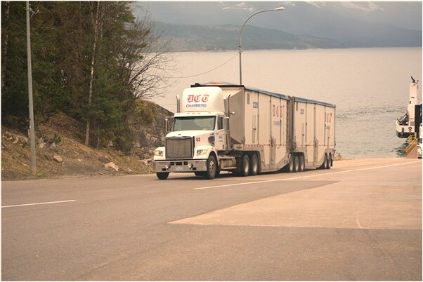夢到了被送了一大簇白花有什麼意義嗎_周公解夢官網