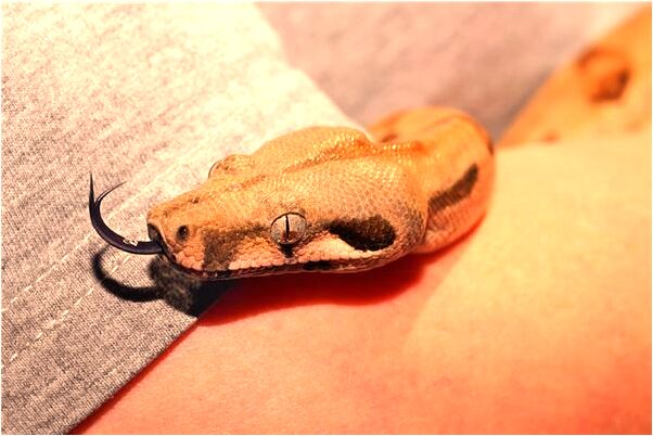 夢見大車著火了代表著什麼_周公解夢官網