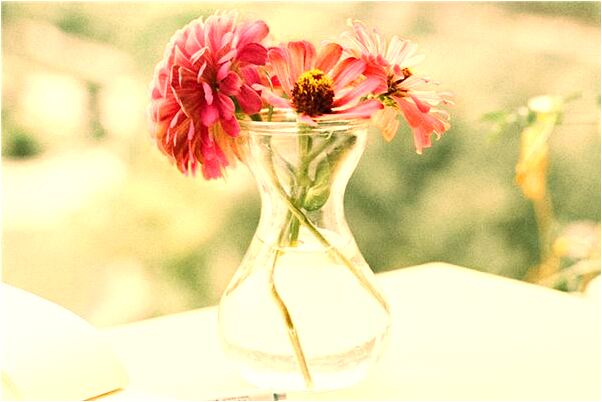 夢見給親戚送禮後回增大禮有什麼寓意嗎_周公解夢官網