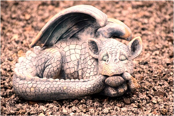 夢到小狗垂死又復活啥意思_周公解夢官網