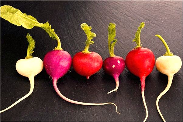 夢到了夢燈光預示什麼_周公解夢官網