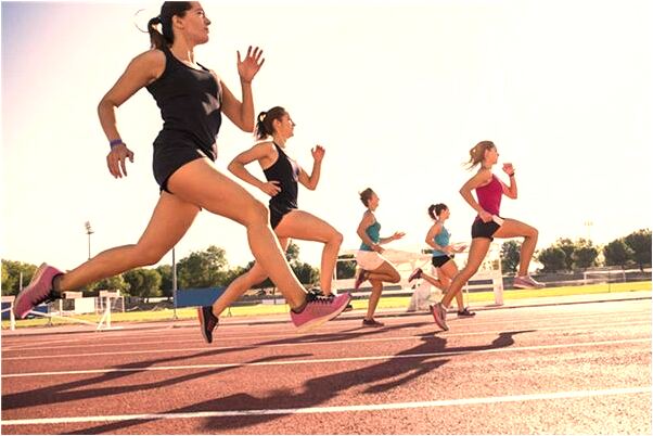 夢到了豬豬生小狗會怎么樣_周公解夢官網