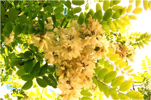 夢見伺候剛出生的孩子好不好_周公解夢官網