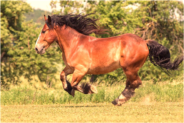 夢到了砌煙窗是什麼徵兆_周公解夢官網