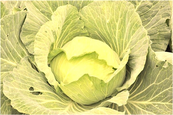 夢到了手被割開的預兆_周公解夢官網