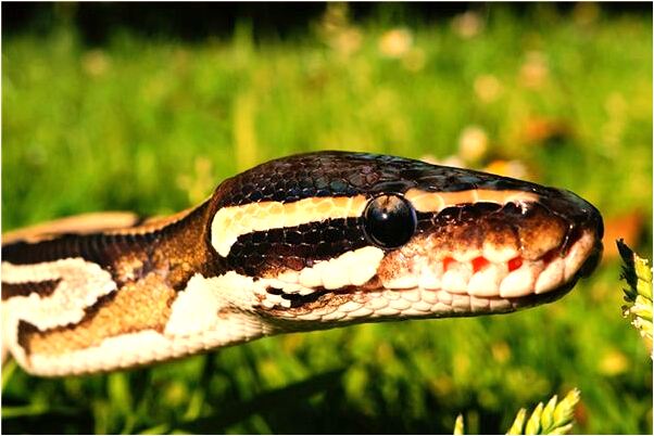 夢到衣服被自己尿濕了有什麼意義嗎_周公解夢官網