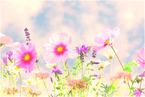 夢見舅媽死了又活了代表著什麼？_周公解夢官網