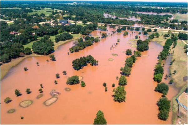 夢到主人的房子被撤是咋回事_周公解夢官網