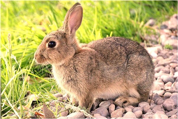 夢見婚禮被破壞有什麼預兆_周公解夢官網