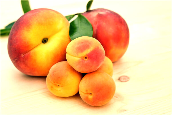 夢到了賣肥皂預示什麼_周公解夢官網