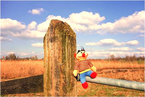 夢到了別人都在奮力拚搏是不是好的徵兆呢_周公解夢官網