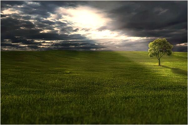 夢見過鐵路道口預示了什麼_周公解夢官網