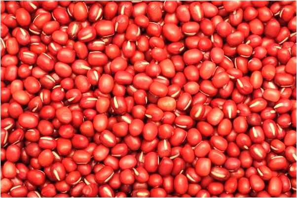 夢見女人被毒蛇追代表著什麼_周公解夢官網