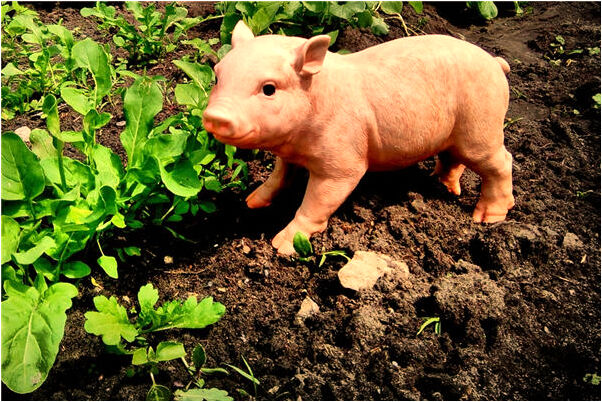 夢到了有人對我不利是什麼徵兆_周公解夢官網