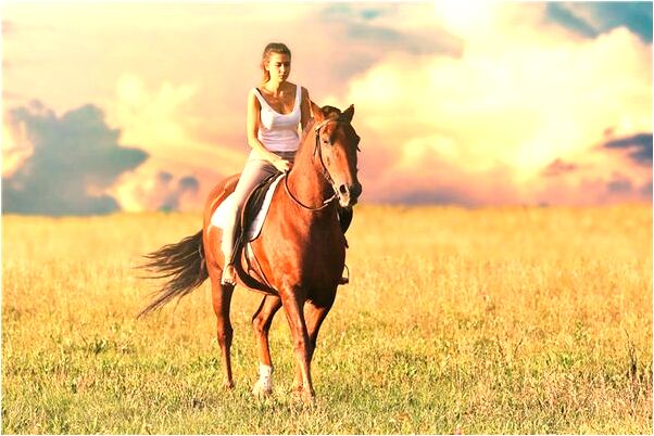 夢見騎電動車上高速有什麼寓意嗎？_周公解夢官網