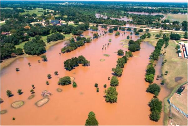 夢到了在很高的蹲坑小便代表什麼_周公解夢官網