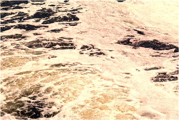 夢到一群老鼠逮捕沒有逮住有什麼徵兆_周公解夢官網