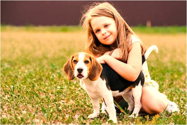 夢到了別人長瘡是什麼徵兆_周公解夢官網