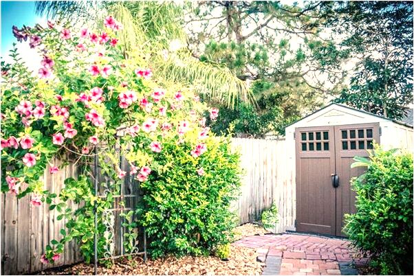 夢見和孩子商討考試問題預示什麼_周公解夢官網