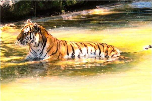 夢到了自己鼻流血是什麼意思_周公解夢官網