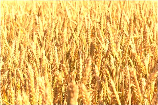 夢到了看不清女右的臉是什麼預兆？_周公解夢官網