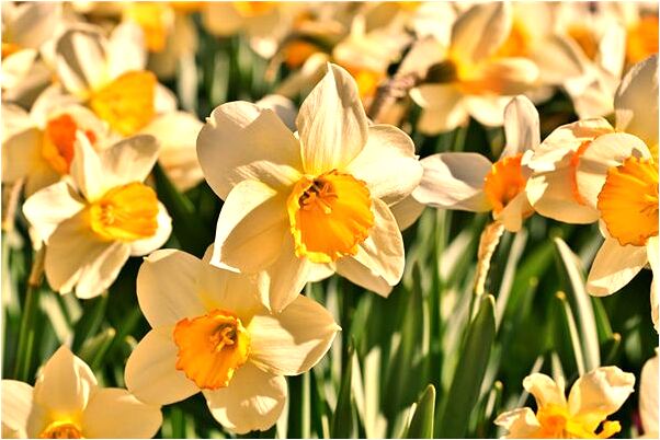 夢到與初戀分開是咋回事_周公解夢官網