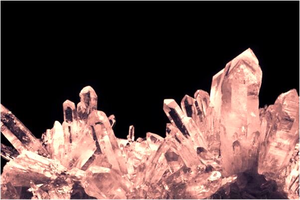 夢見蛇立著是什麼預兆_周公解夢官網