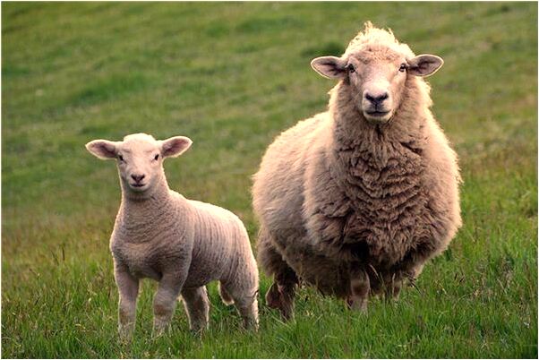 夢到晾著的衣服是什麼啟示_周公解夢官網