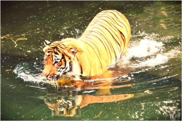 夢到與家人一起吃飯是什麼預兆？_周公解夢官網