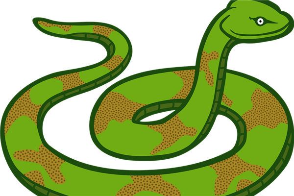 夢到了蛇入水是怎么回事_周公解夢