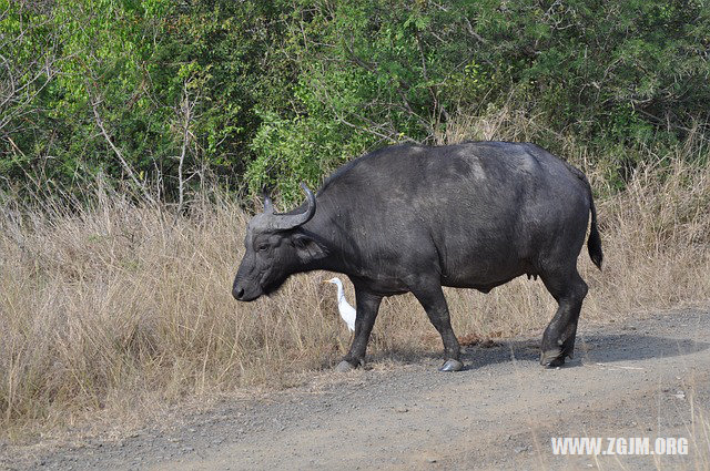 夢見老公被陷害遭暴打_周公解夢夢到老公被陷害遭暴打是什麼意思_做夢夢見老公被陷害遭暴打好不好_周公解夢官網