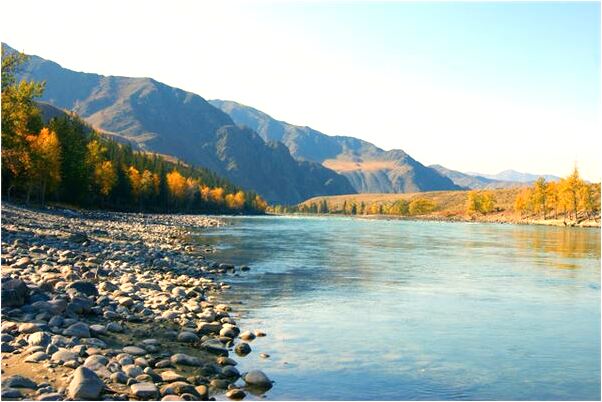 夢到要賣掉又被解救是什麼啟示_周公解夢官網