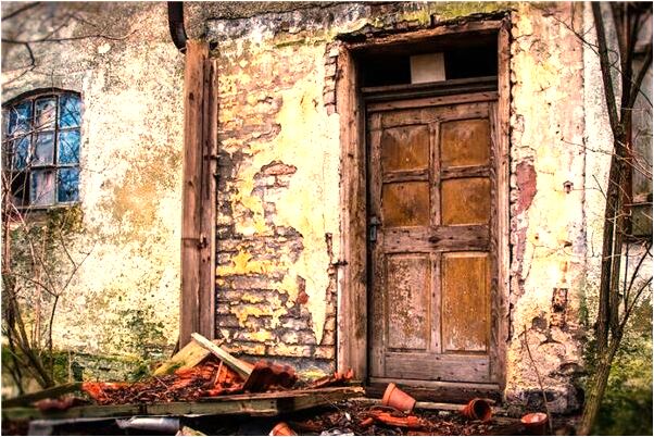 夢到了空手抓野雞是什麼預兆？_周公解夢官網