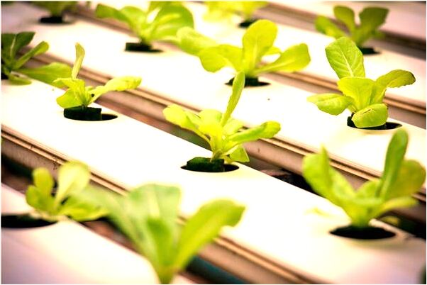 夢見別人偷了別人的項鍊啥意思_周公解夢官網