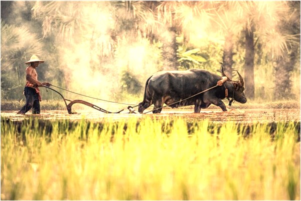 夢見妻子死亡啥意思_周公解夢官網