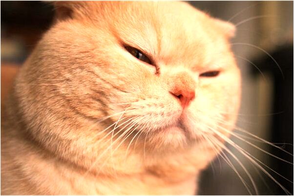 夢到未婚自己來月經有何寓意_周公解夢官網