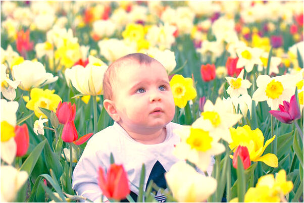 夢到蛇孵蛋孵出小蛇會怎么樣_周公解夢官網