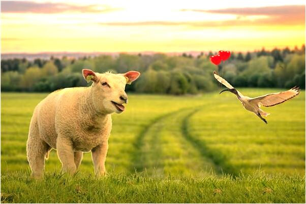 夢到了死人穿一身大紅色衣服會怎么樣_周公解夢官網