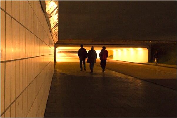 夢到了救了一個小烏龜有何寓意_周公解夢官網