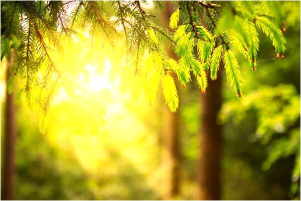 夢見與自己一起走的人淹死了意味什麼_周公解夢官網