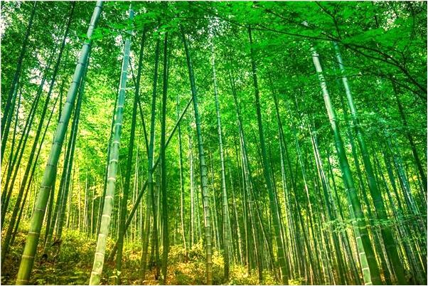 夢到身上有蟹會有什麼預兆_周公解夢官網