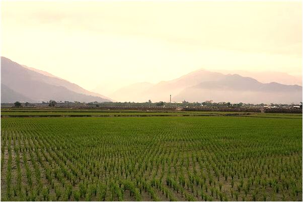 夢到了幫別人賣衣服是什麼意思？_周公解夢官網