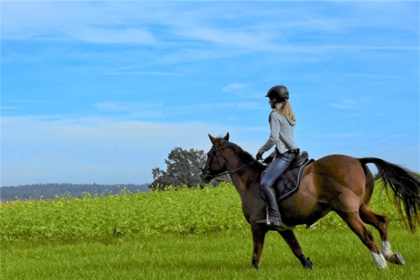夢到了騎馬衝鋒有什麼寓意嗎_周公解夢