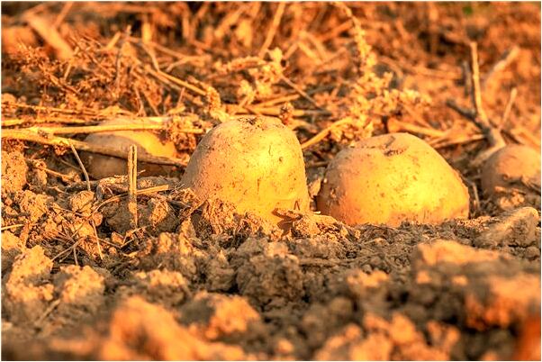 夢到死去的朋友向我借錢是什麼預兆_周公解夢官網