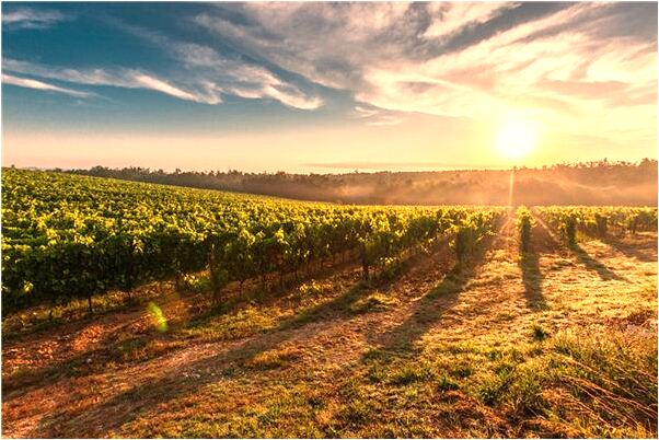 夢到了老公有外心怎么回事_周公解夢官網