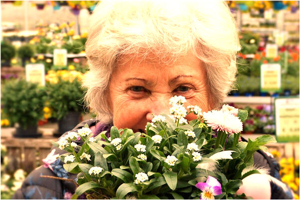 夢見小偷在家門外預示什麼_周公解夢官網