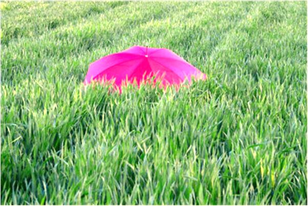 夢到了河水污穢有何寓意_周公解夢官網