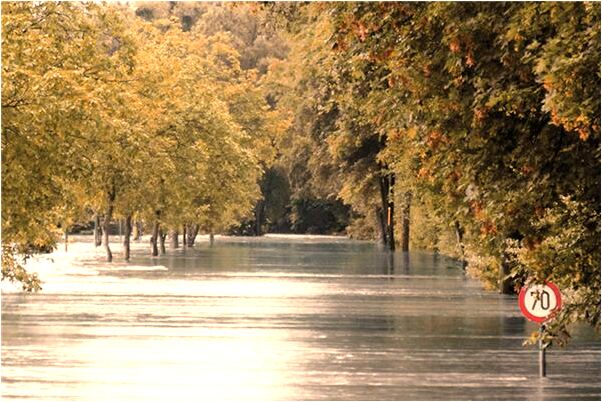 夢見我的腳底被刺是凶兆還是吉兆_周公解夢官網