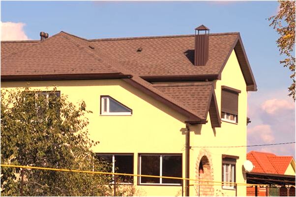 夢到了袋裡一條清道夫魚頭想出來的預兆_周公解夢官網