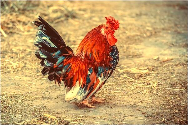 夢到自己殺了小孩怎么回事_周公解夢官網